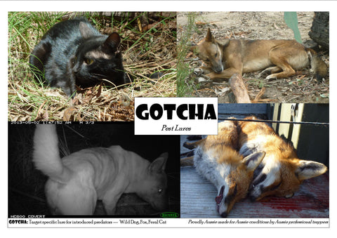Gotcha (200ml)