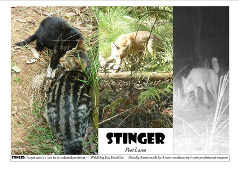 Stinger (200ml)