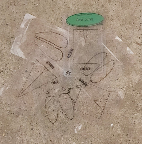 Omnivore/Herbivore Track Identification Cards