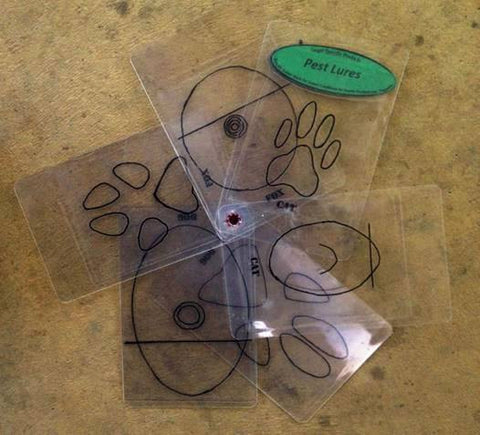 Predator Track Identification Cards